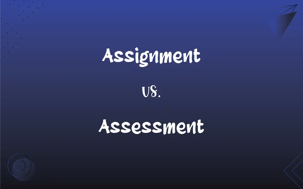 assessment assignment mean