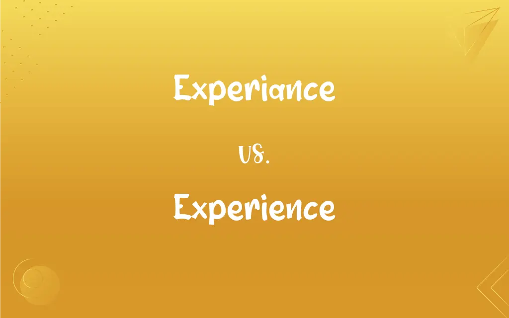 Experiance Vs Experience Mastering The Correct Spelling