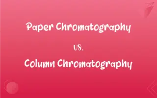essay vs paper vs article
